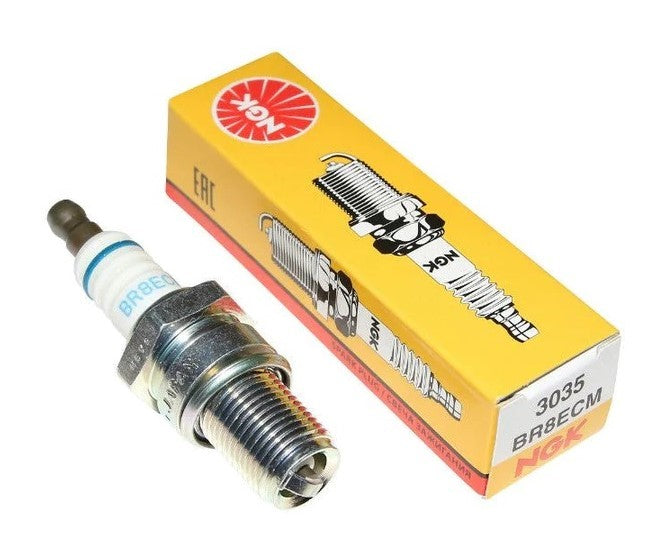 Spark Plug CPR8EB-9 Sold Per Plug - CPR8EB-9