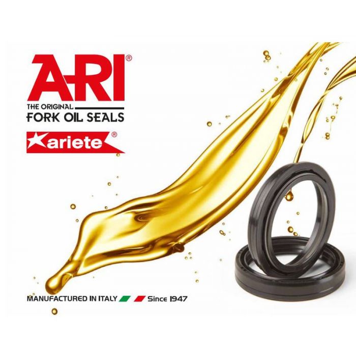 48x58x9/9.8 Tcy Fork Seal Kit - ARI145