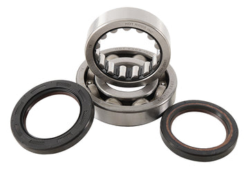 Main Bearing and Seal Kit - K041