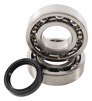 Main Bearing and Seal Kit - K043
