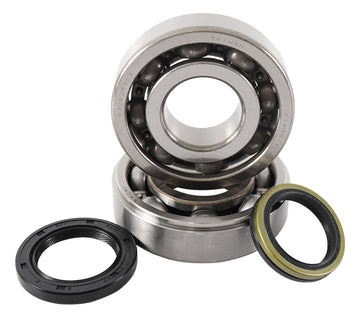 Main Bearing and Seal Kit - K058