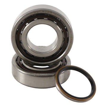 Main Bearing and Seal Kit - K068