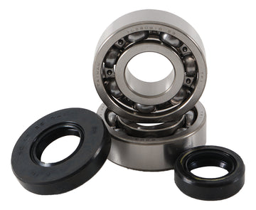 Main Bearing and Seal Kit - K089