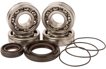 Main Bearing and Seal Kit - K225