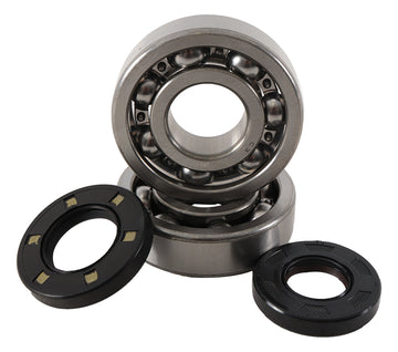 Main Bearing and Seal Kit - K226