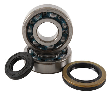Main Bearing and Seal Kit - K230