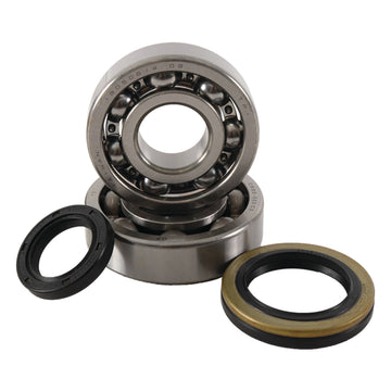 Main Bearing and Seal Kit - K231
