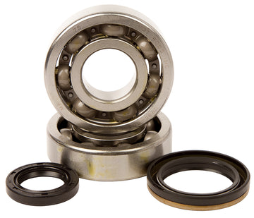 Main Bearing and Seal Kit - K232