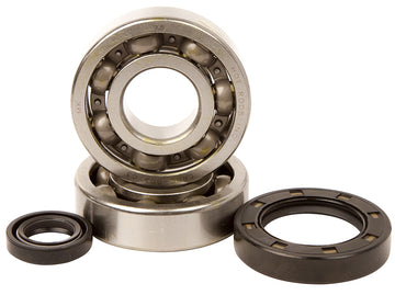 Main Bearing and Seal Kit - K234