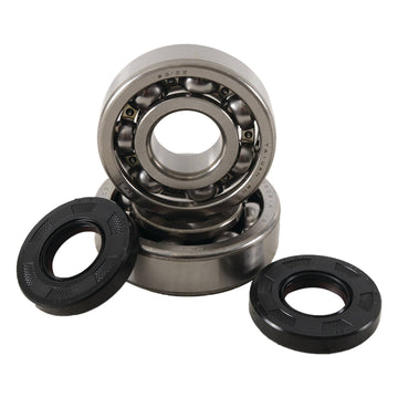 Main Bearing and Seal Kit - K237