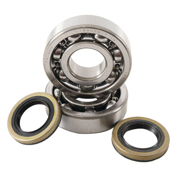 Main Bearing and Seal Kit - K238