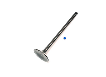Intake Valve - XU-09545IK