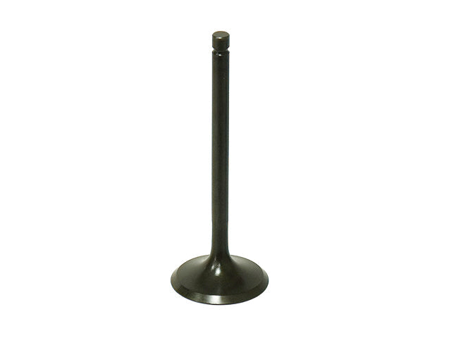 Intake Valve - XU-09518I