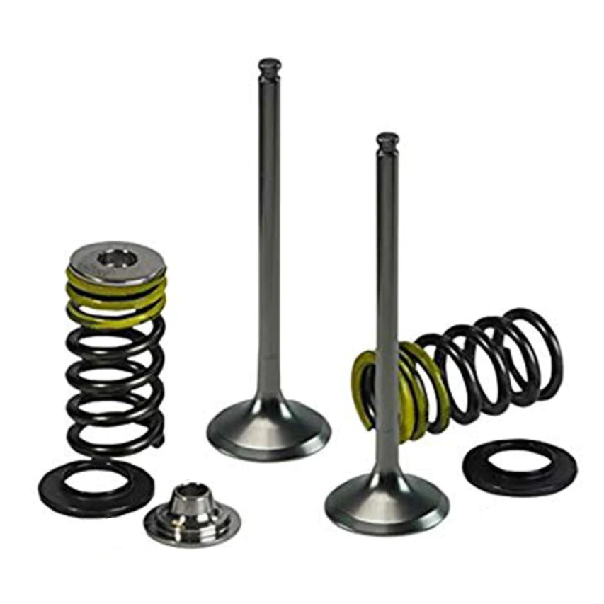 Exhaust Valve And Spring Kit - XU-09546EK