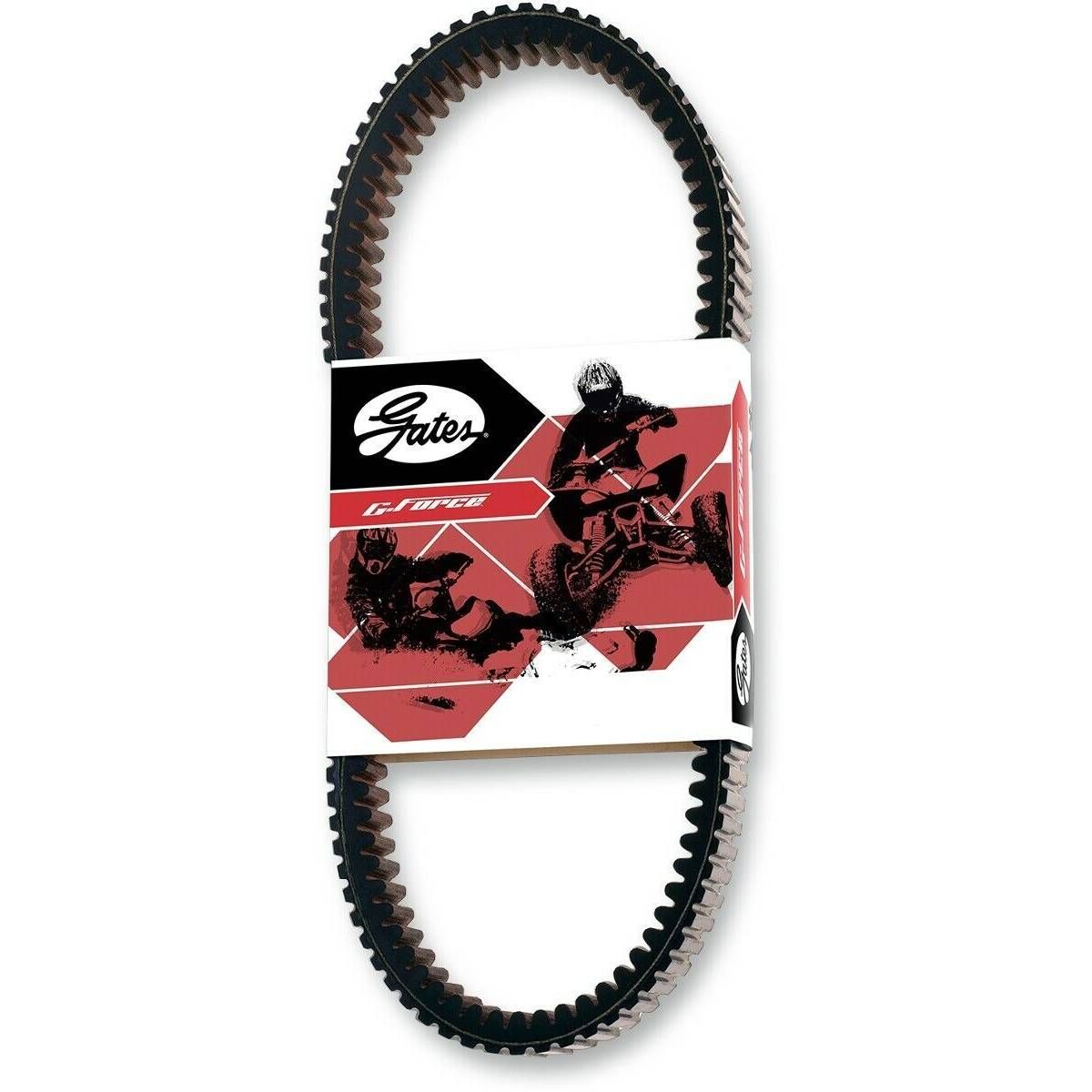 Drive Belt - 23G3836