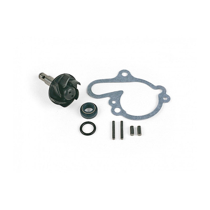 Water Pump Kit Dirt Bike Fe - WPK0060
