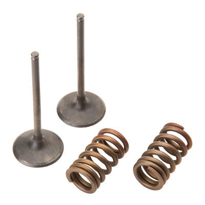 Pro X Steel Intake Valve/Spring Kit