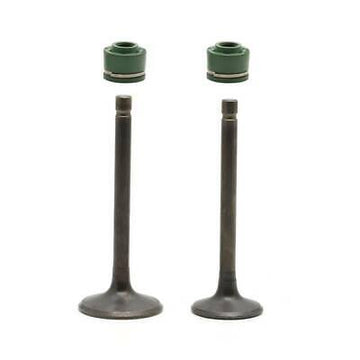 ATV Intake Valve - RC-5KM-12111-00-00