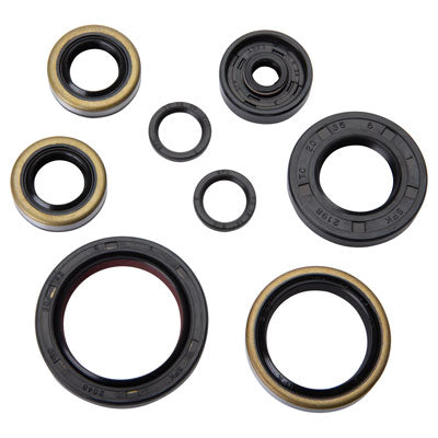 Tusk Engine Oil Seal Kit