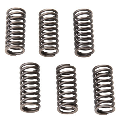 Tusk Clutch Spring Set