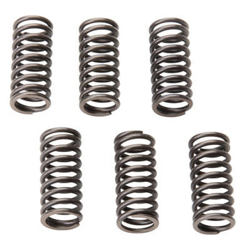 Tusk Clutch Spring Set