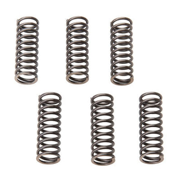 Tusk Clutch Spring Set