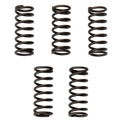 Tusk Clutch Spring Set