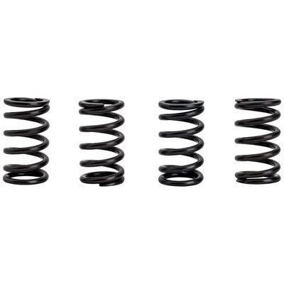 Tusk Clutch Spring Set